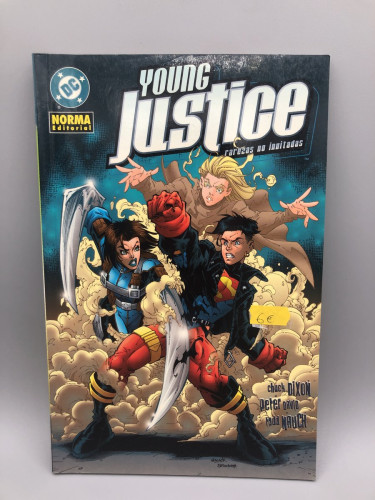 Portada del libro de YOUNG JUSTICE rarezas no invitadas