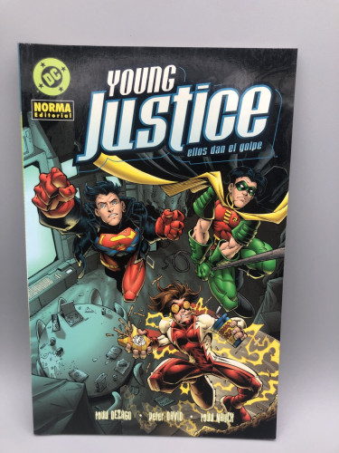 Portada del libro de Young Justice ellos dan el golpe