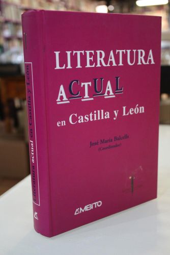 Portada del libro de Literatura actual en Castilla y León