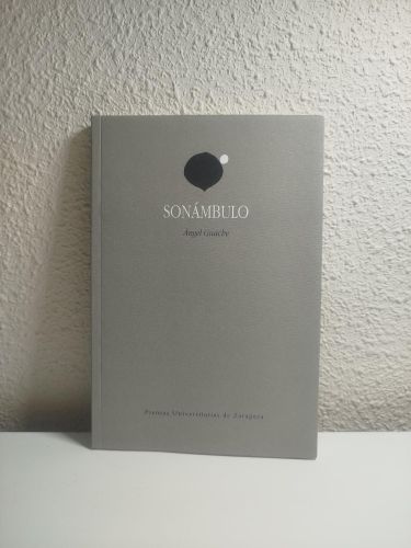 Portada del libro de Sonámbulo