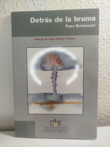 Portada del libro de Detrás de la bruma