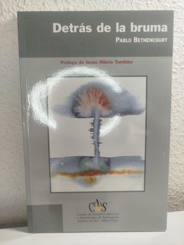 Portada del libro de Detrás de la bruma