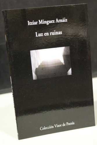 Portada del libro de Luz en ruinas