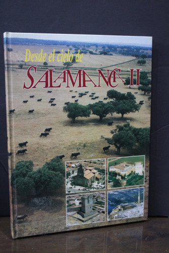 Portada del libro de Desde el cielo de Salamanca II