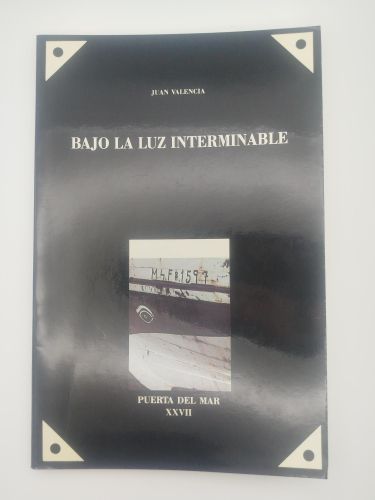 Portada del libro de Bajo la luz interminable