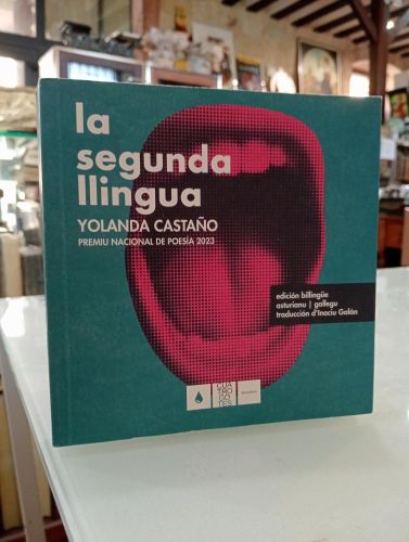 Portada del libro de La segunda llingua