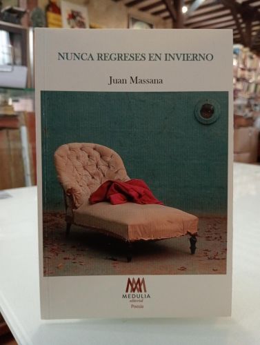 Portada del libro de Nunca regreses en invierno