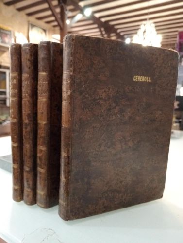VIAGES DE ENRIQUE WANTON A LAS TIERRAS INCOGNITAS AUSTRALES Y AL PAIS DE LAS MONAS: en donde se expresan las costumbres, carácter, ciencias, y policía de estos extraordinarios habitantes. Traducidos del idioma inglés al italiano y de este al español por D. Joaquín de Guzmán y Manrique. 4 tomos