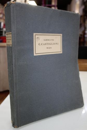 Die Sammlung. C. Castiglioni. Wien. Gemälde. Skulpturen. Möbel. Keramik. Textilien.